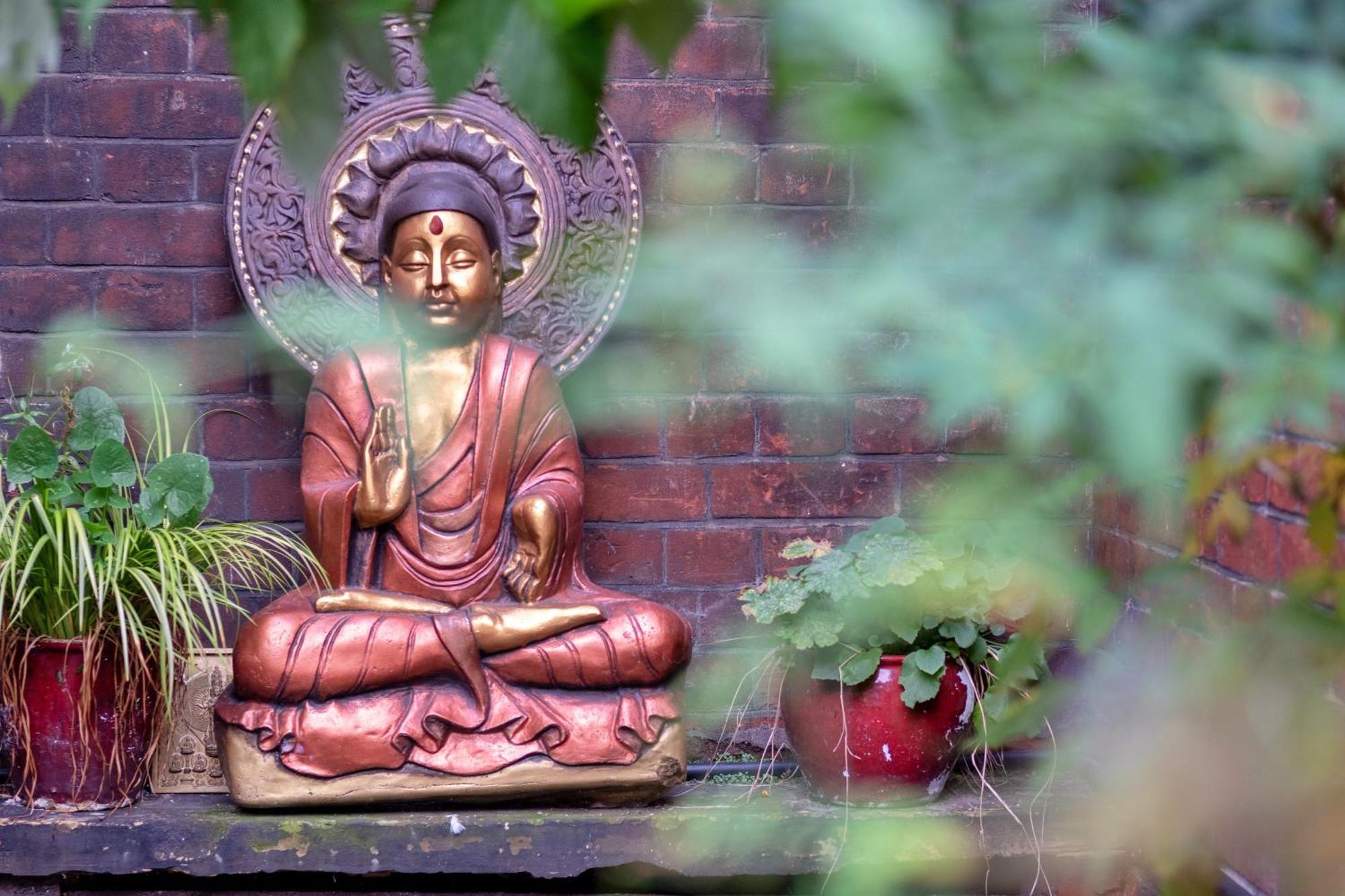 Lotus Guesthouse 伦敦 外观 照片